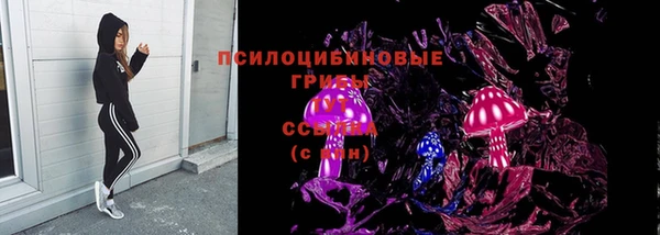 круглые Алзамай