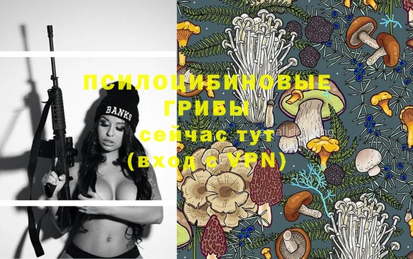 твердый Алексеевка