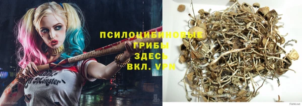 твердый Алексеевка