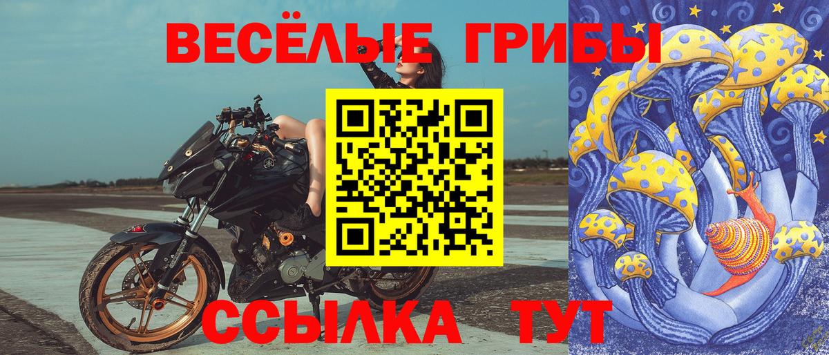 Псилоцибиновые грибы прущие грибы  Вход с VPN  Псилоцибиновые грибы мухоморы  Губкин 